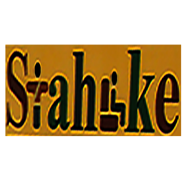 Stahlke Bus Service